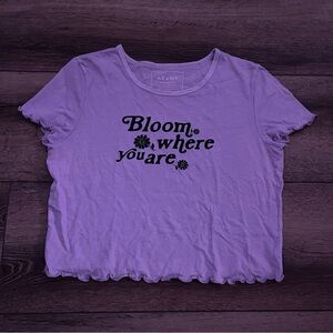 Medium American Eagle purple ruffle short sleeve crop top